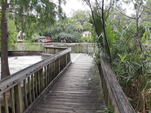 lowry park fishing deck